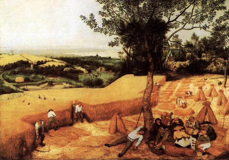 Pieter Bruegel il Vecchio, La mietitura, 1565. New York, Metropolitan Museum