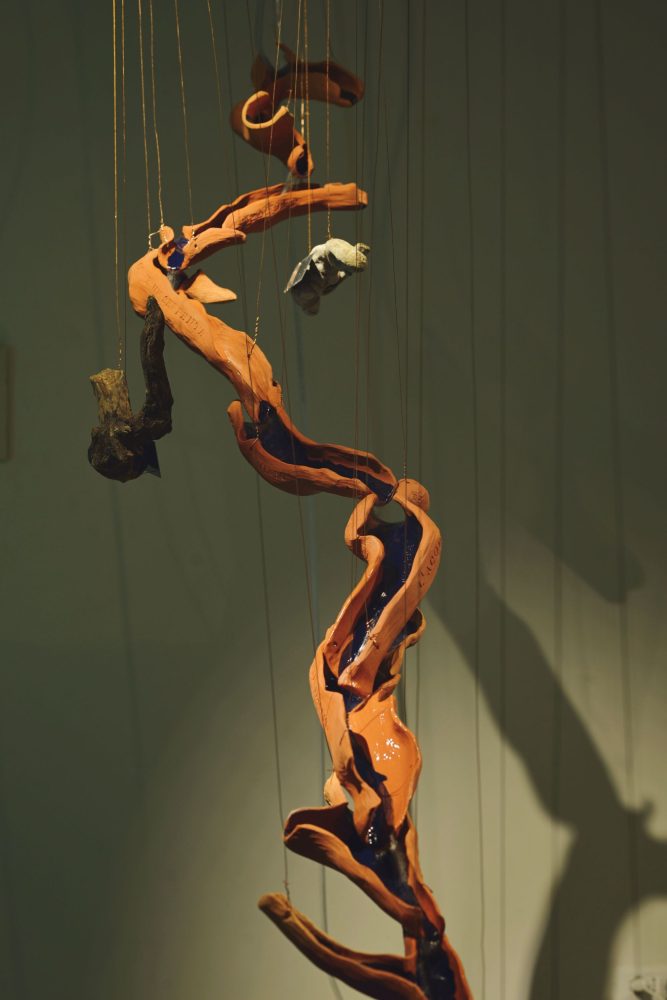 Cosmogonie dell'acqua, Claudia Muller