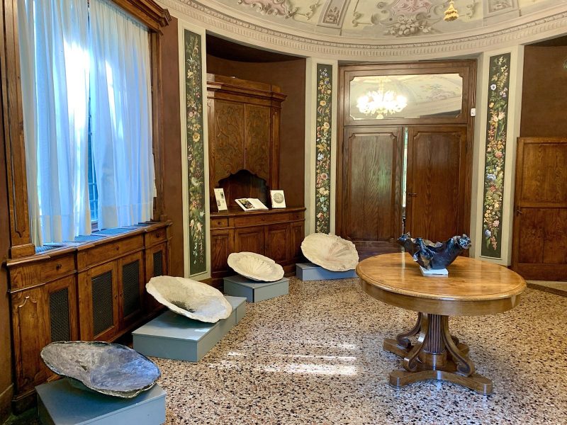 Il Giardino d’Autunno. Omaggio a Silvia Guberti, Biblioteca Civica Daria Bertolani Marchetti, Formigine