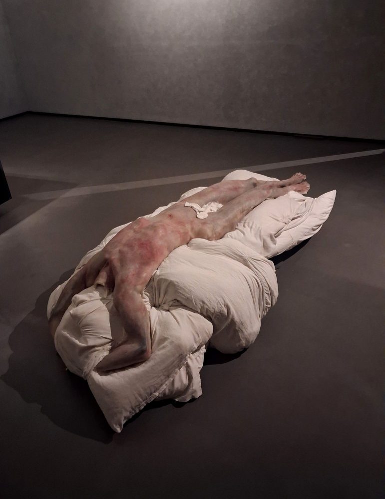 Berlinde De Bruyckere incontra il Dio fluviale di Michelangelo, Accademia delle Arti del Disegno, Firenze, foto Daniela Izzi