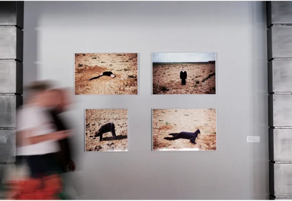 Senza titolo (Propaggine), 1995, di Massimo Bartolini