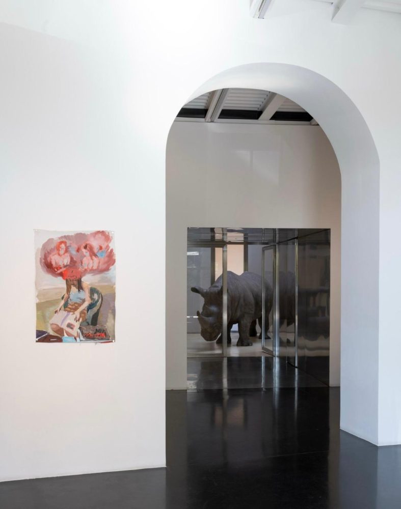 Xi Niu: In Search of New Routes, Rhinoceros, Roma