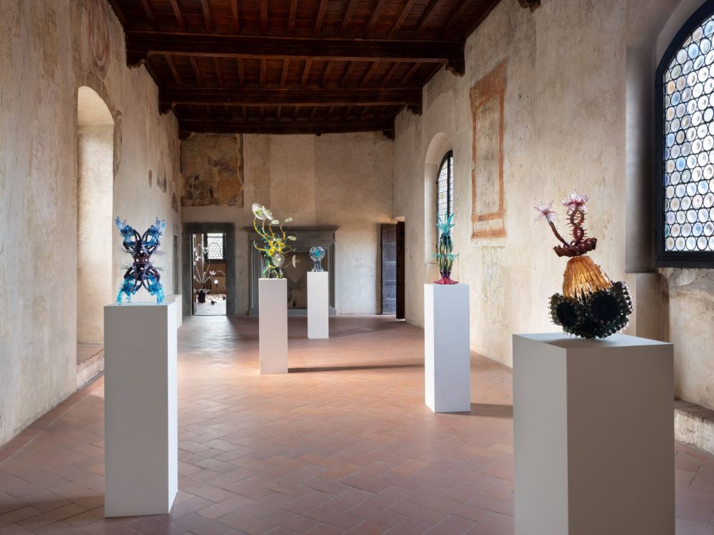 Antonio Barbieri, La MATERIA DELLA VITA, Sala CHIMERE, Palazzo Pretorio ph Daniele Molajoli
