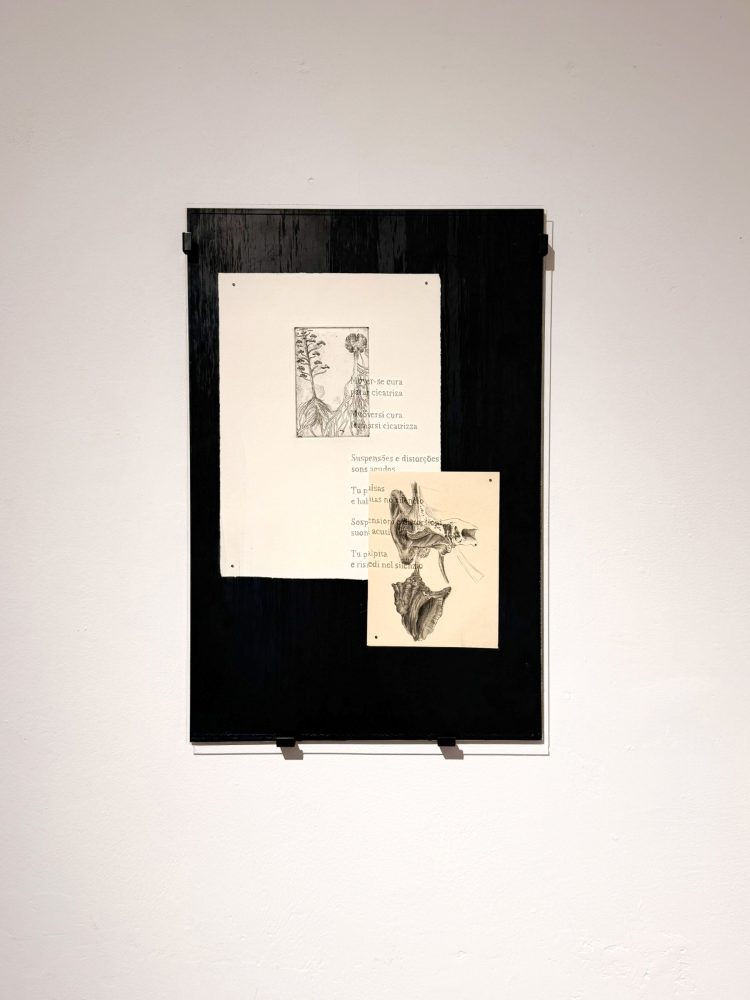 Matilde Sambo, Mover-se cura, fermarsi cicatrizza, installation views. Photo credits Diego Revilla, courtesy of Joystick