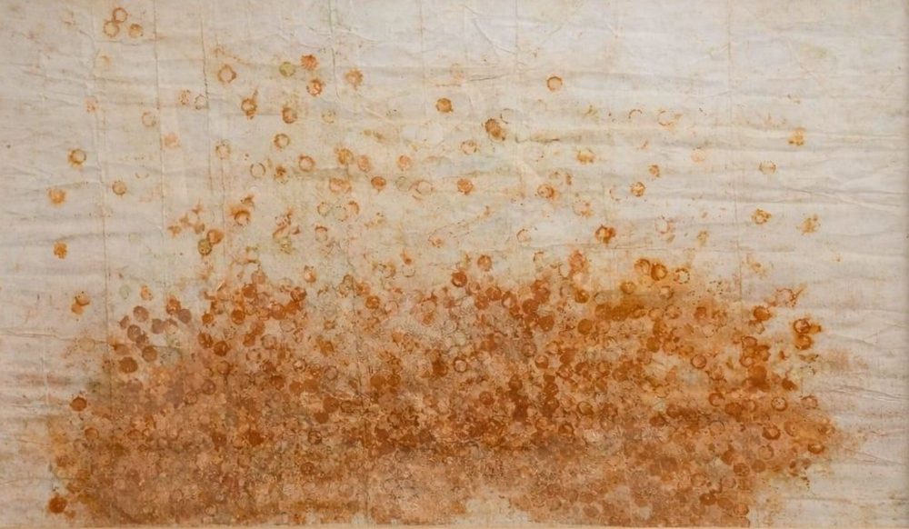 Piotr Hanzelewicz, La carta dei diritti della bomba, ossidazione da monete da un centesimo su carta bristol, cornice in pioppo canadese e vetro, 73,5x110 cm, 2014